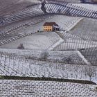 Terre da vino - sottozero