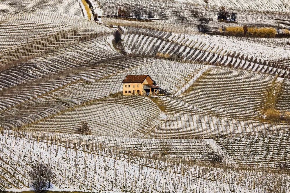 Terre da vino -  sottozero   (reloaded)