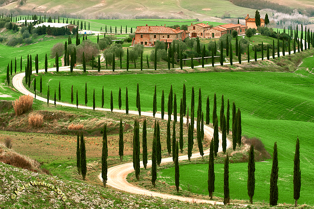 Terre d'Asciano (SI)