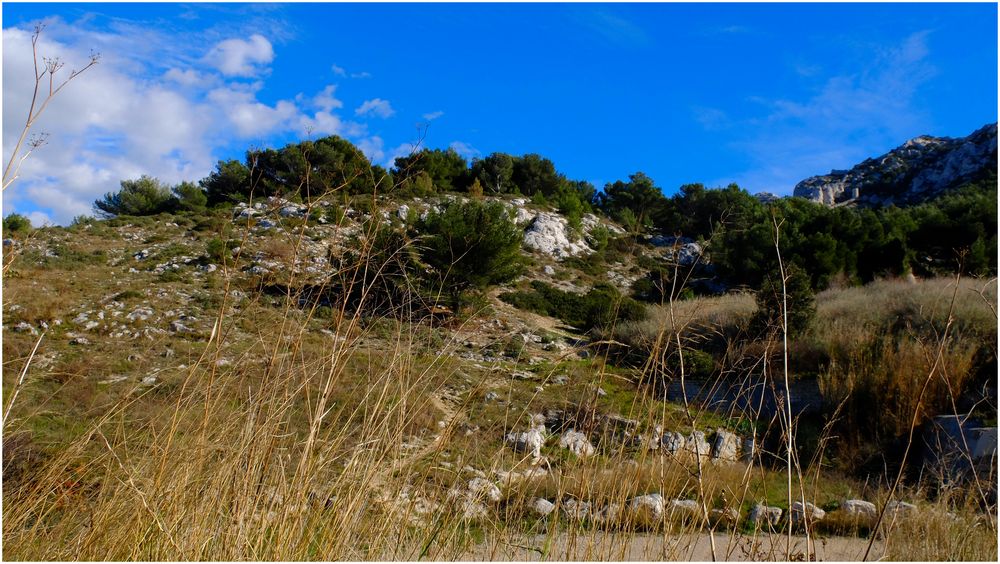 Terre de calanques