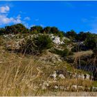 Terre de calanques