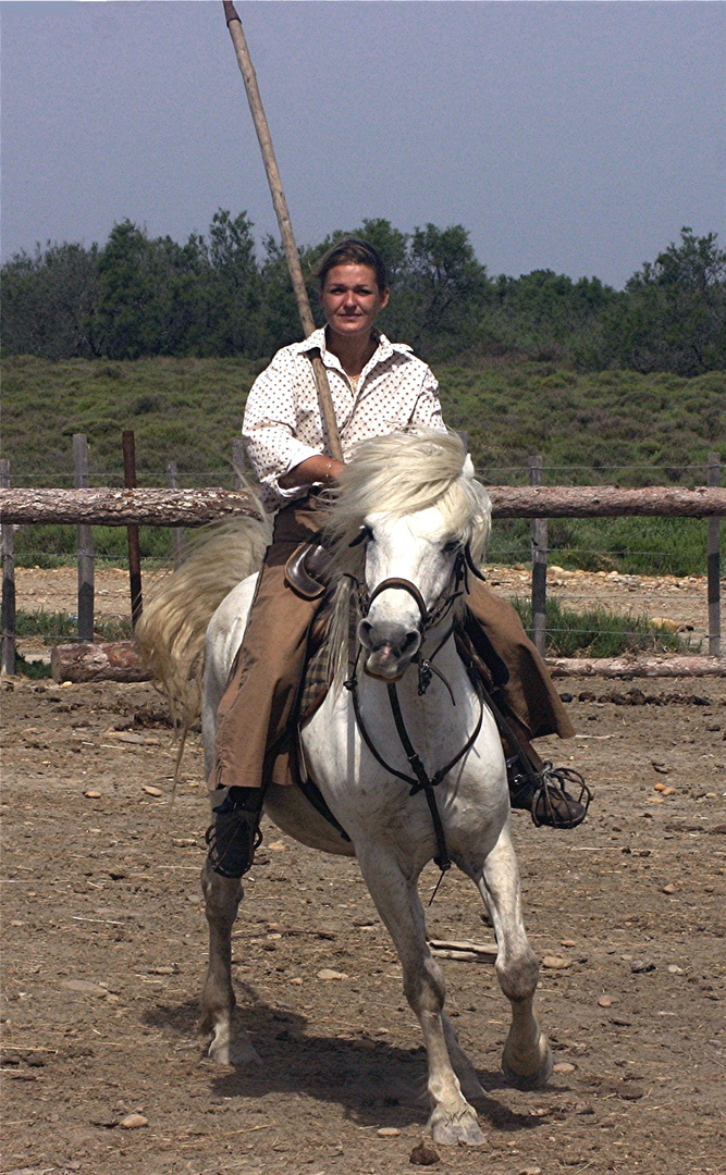 TERRE DE CAMARGUE LA BELLE MANADIERE