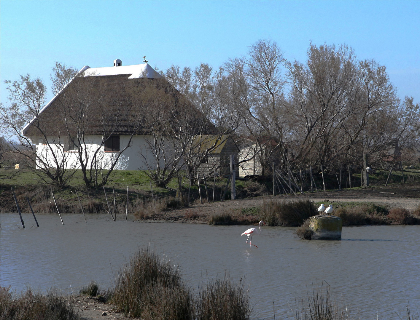 TERRE DE CAMARGUE LA CABANE DU GARDIAN