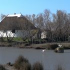 TERRE DE CAMARGUE LA CABANE DU GARDIAN