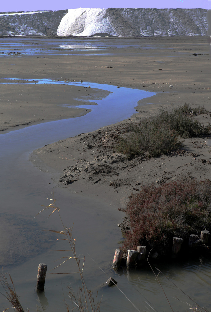 TERRE DE CAMARGUE SEL LA BALEINE