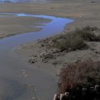 TERRE DE CAMARGUE SEL LA BALEINE