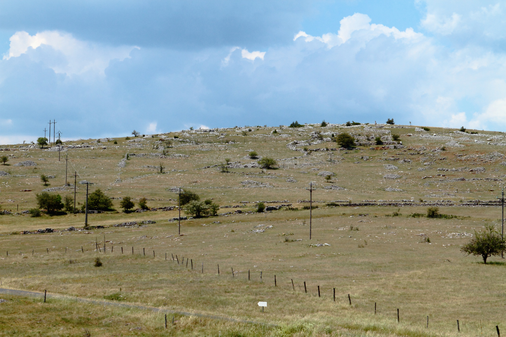 Terre de Cevennes 2