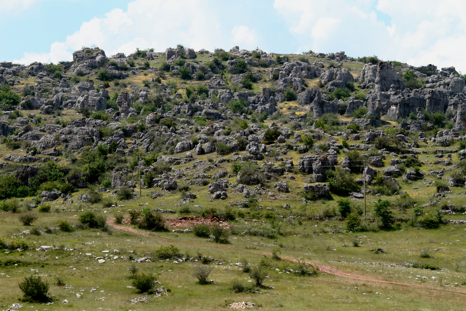 Terre de Cevennes 4