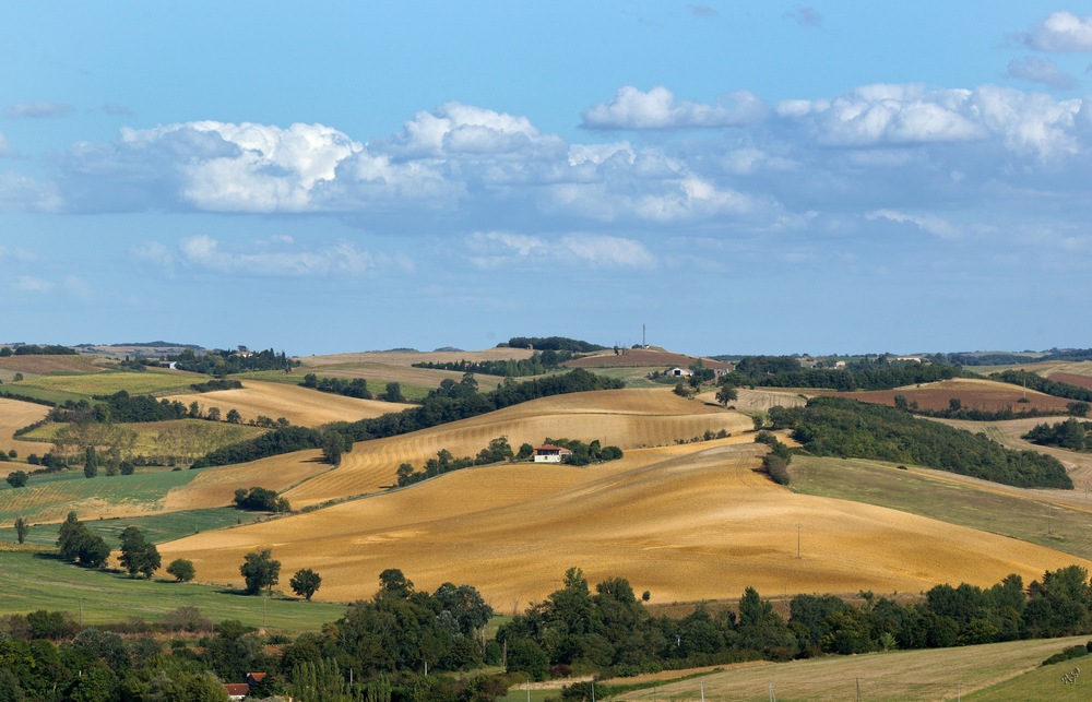 Terre de contrastes