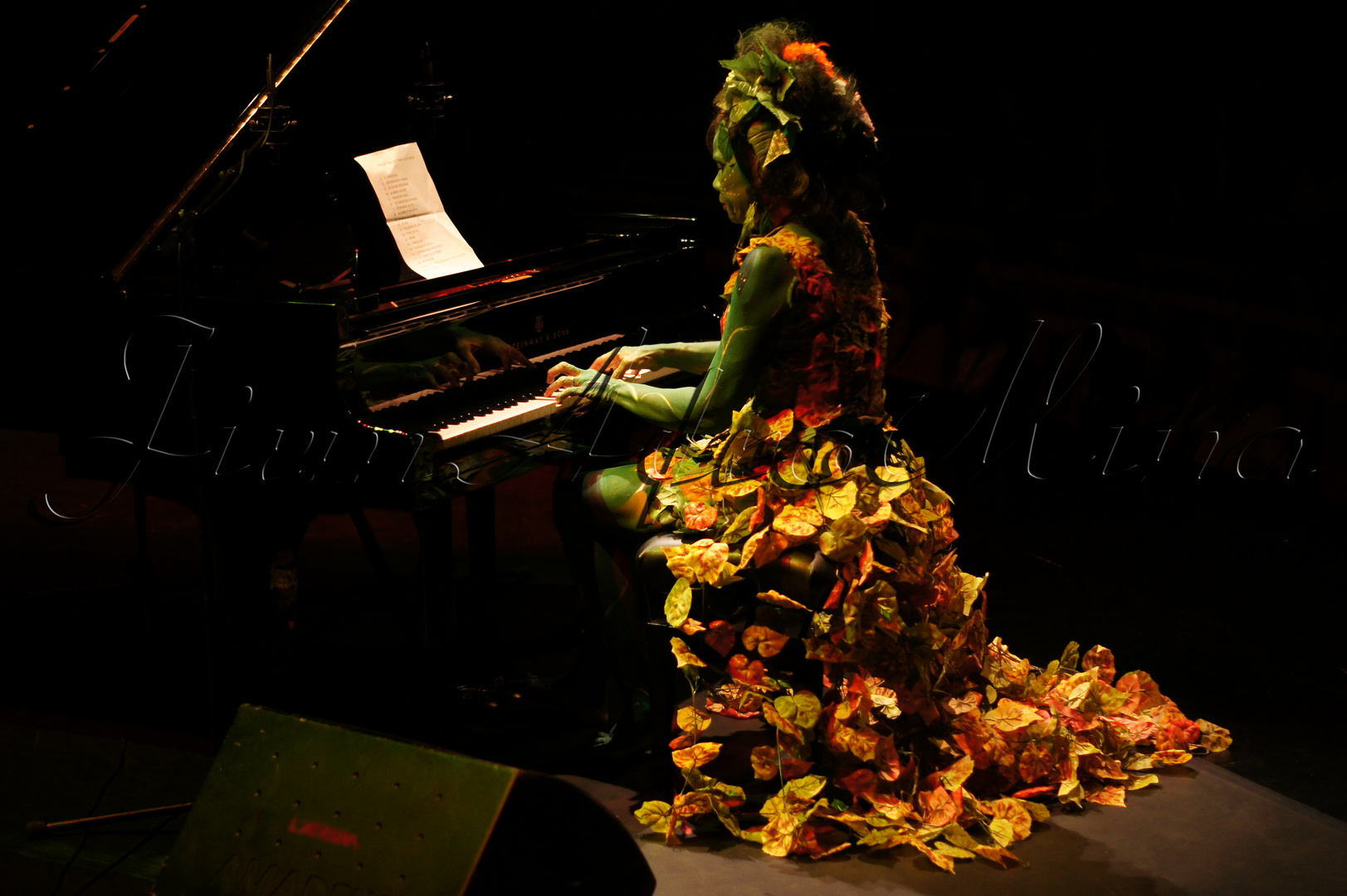 "Terre de Feu" Concert d'Annick Ozier-Lafontaine 9.10.10 (ATRIUM MARTINIQUE)