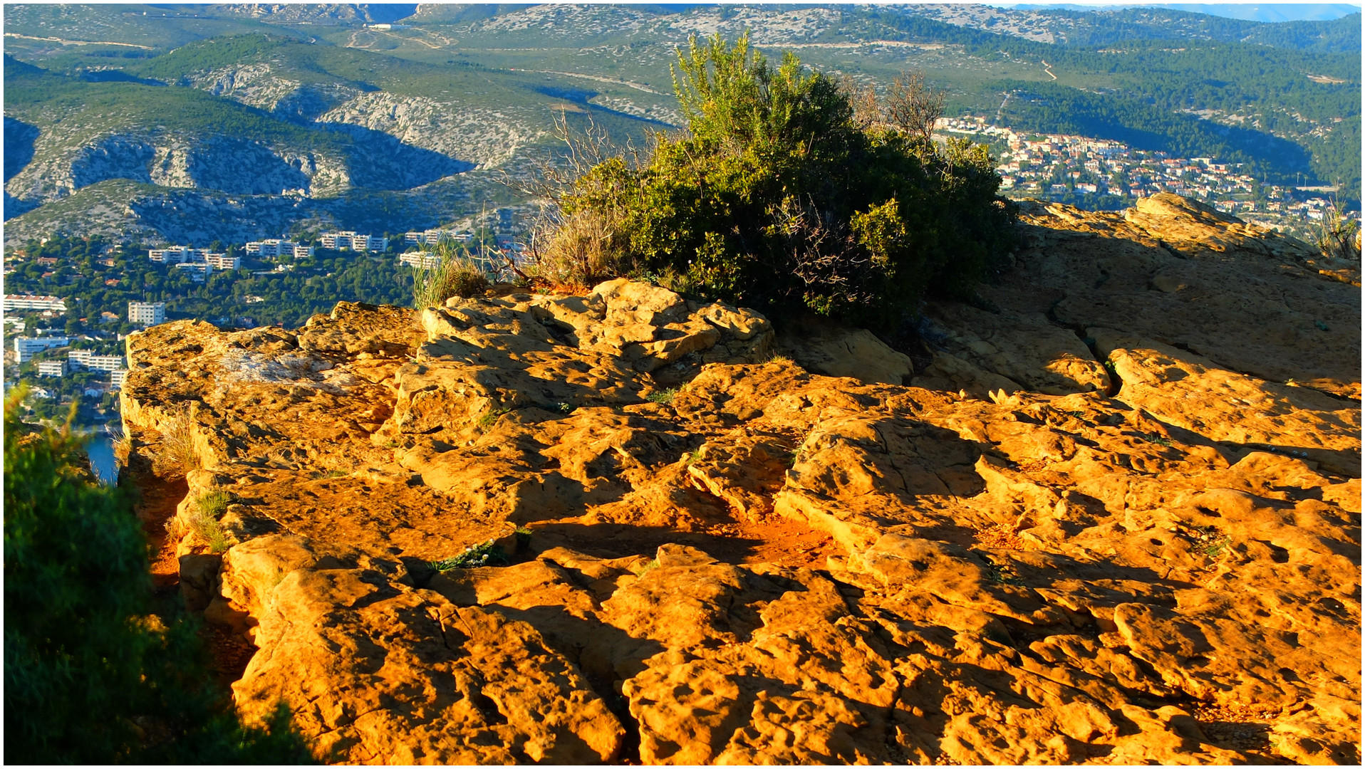 Terre de garrigue