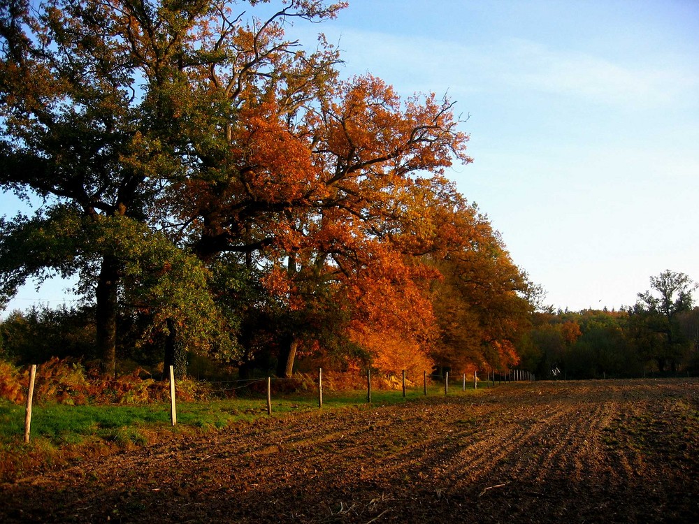 terre de l'Epau