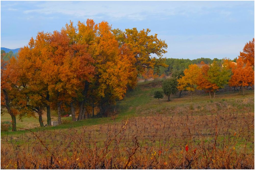 Terre de Luberon...