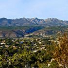 Terre de Provence