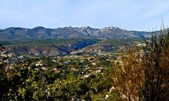 Terre de Provence