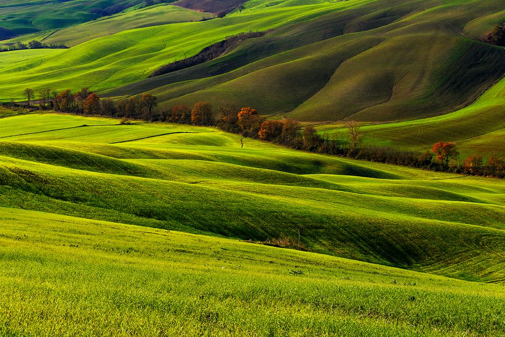 Terre de Siena....