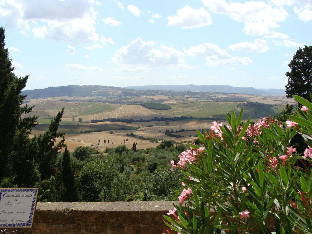 Terre de Toscane de cosette1965 