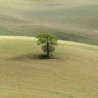 Terre della Val D'Orcia
