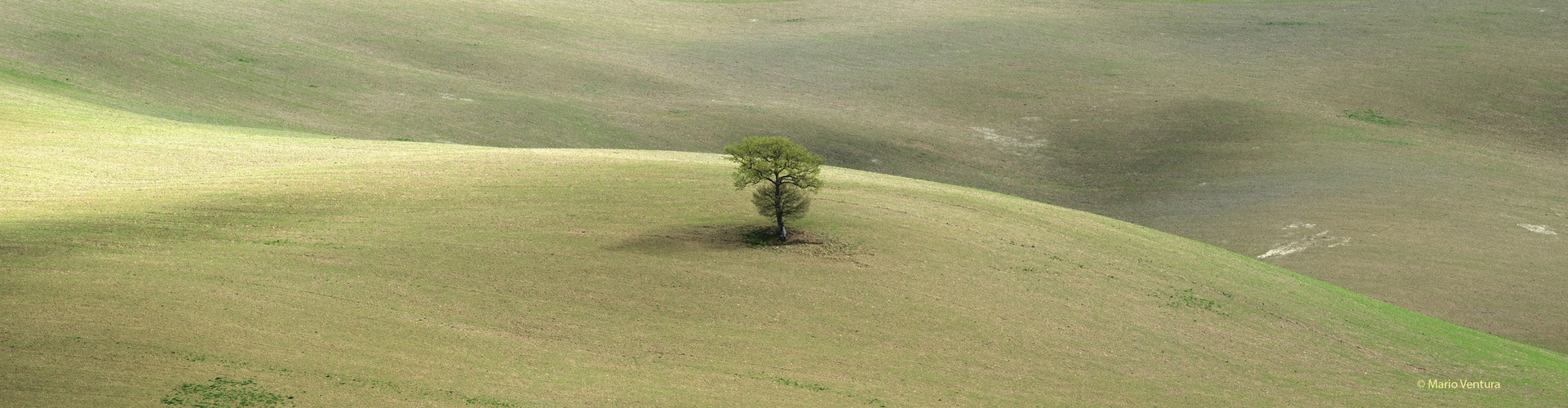 Terre della Val D'Orcia