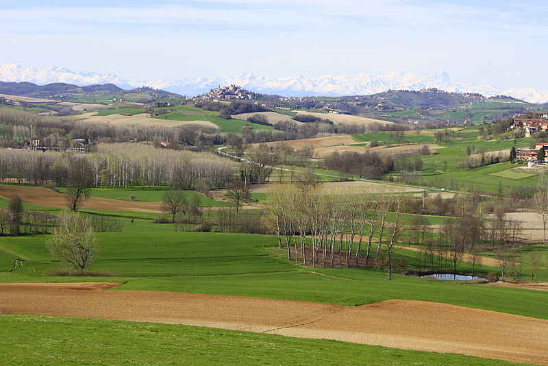 Terre dell'astigiano