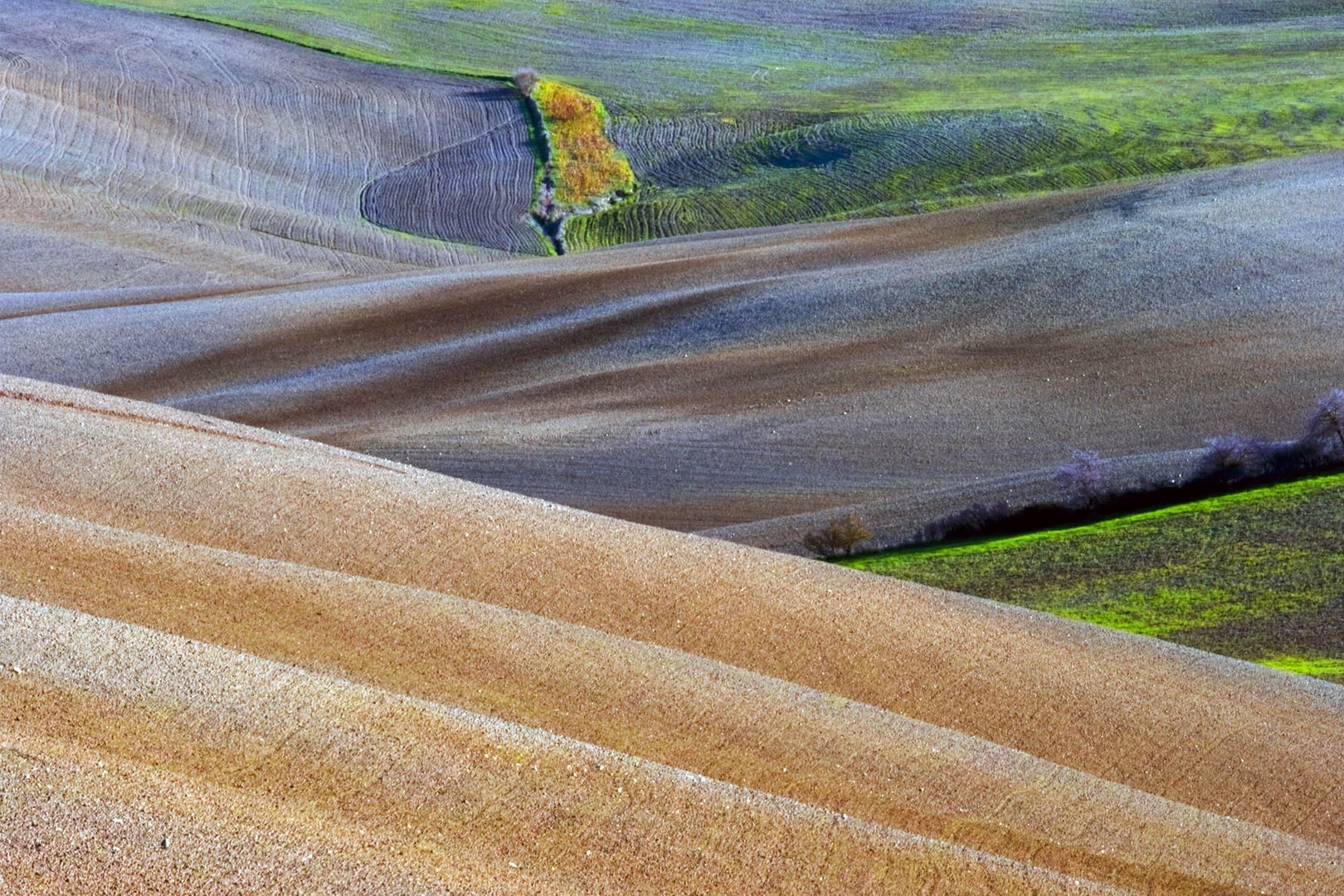 Terre di Orciano