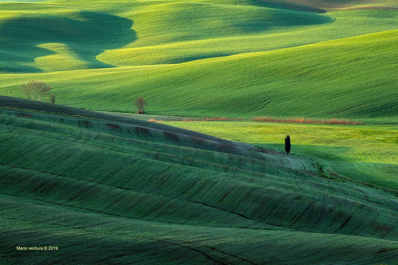 Terre di Pienza