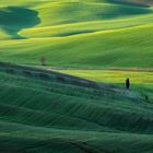 Terre di Pienza