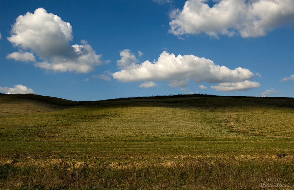 Terre di Siena 6