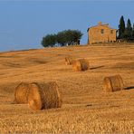 Terre di Siena