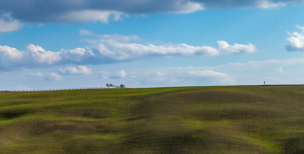 Terre di  Siena