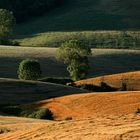 Terre di Siena: Contrasti