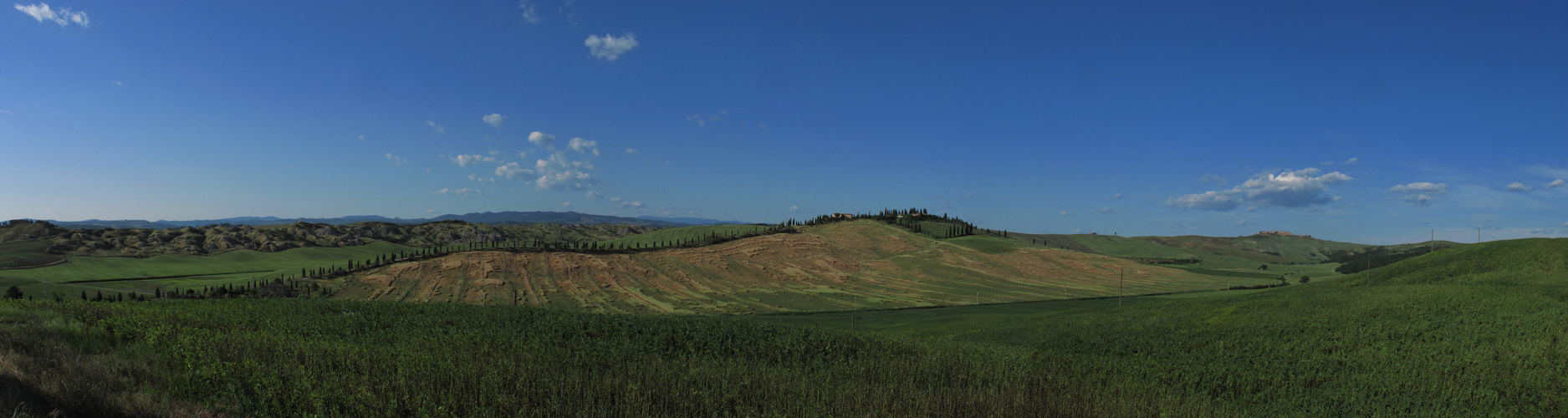 Terre di Siena, giugno 2009