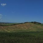 Terre di Siena, giugno 2009