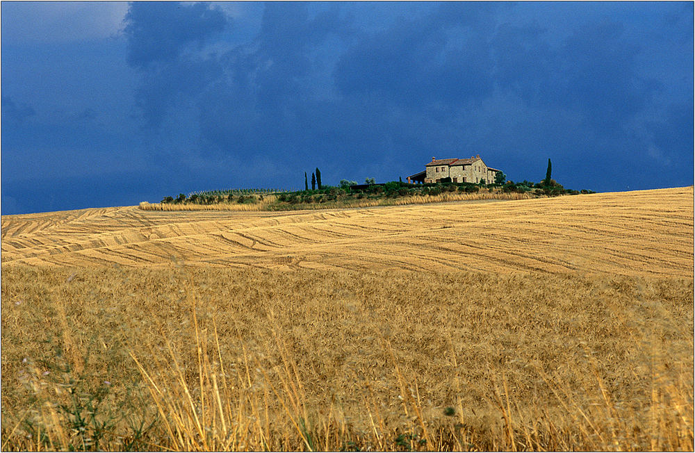 Terre di Siena II