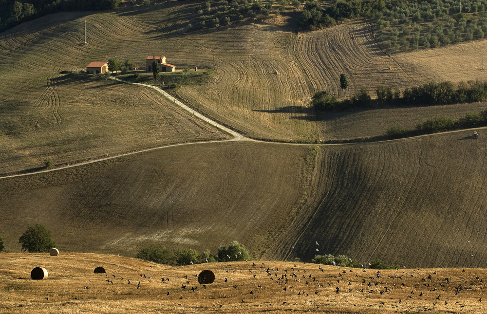 Terre di Siena Tra Pienza e Monticchiello