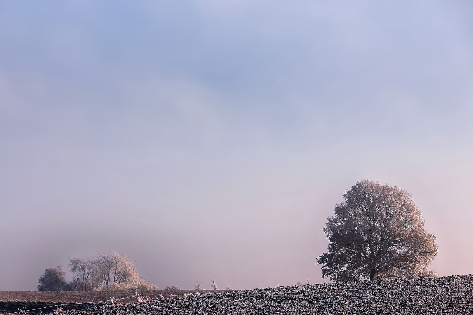 Terre Hesbignonne