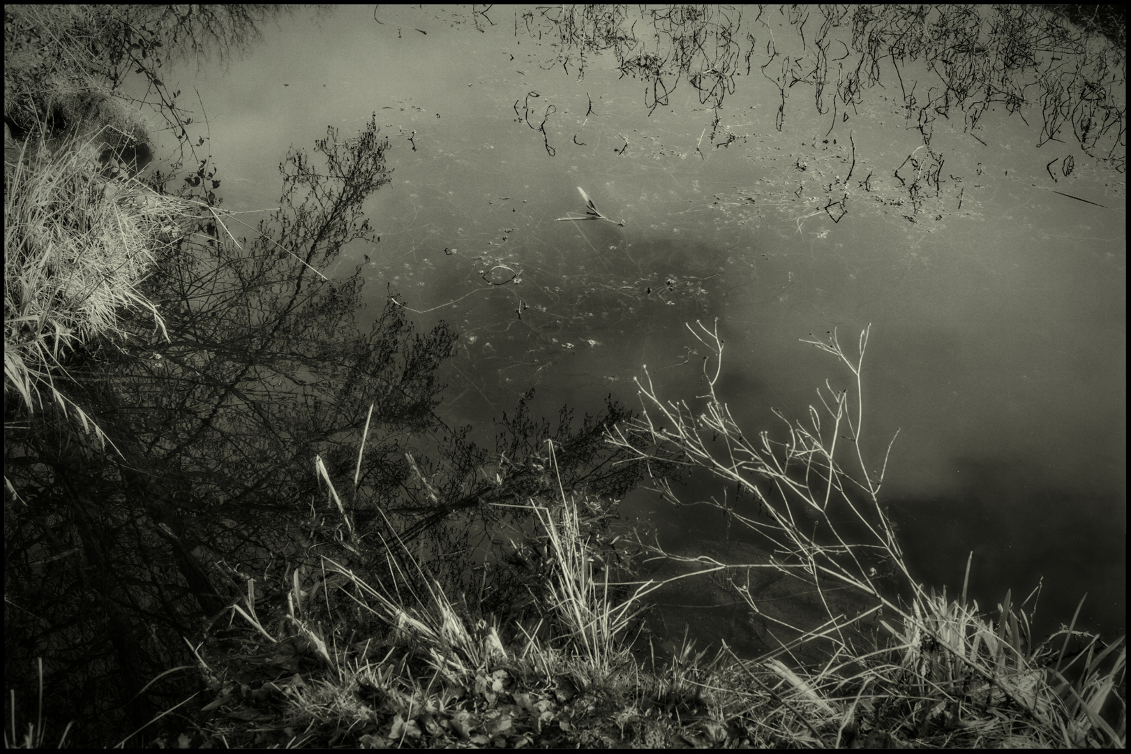 Terre humide en bordure du canal