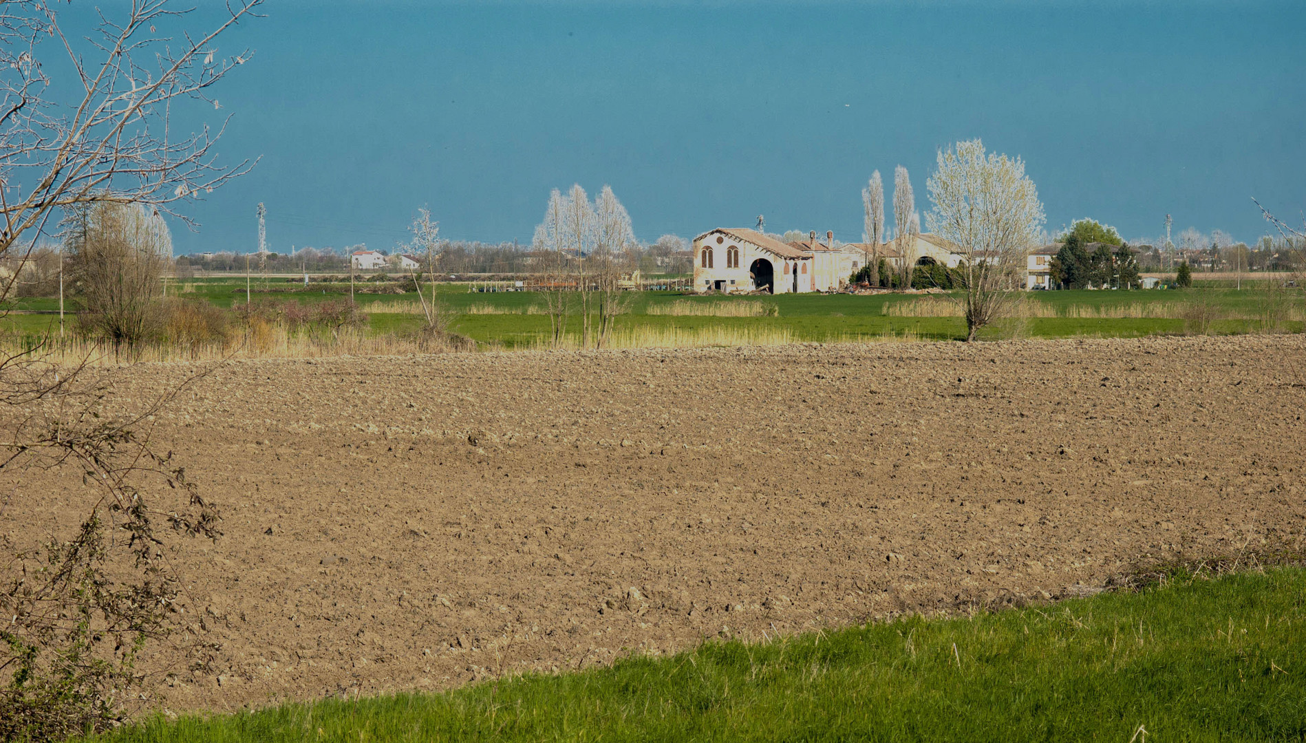 terre lendinaresi in primavera