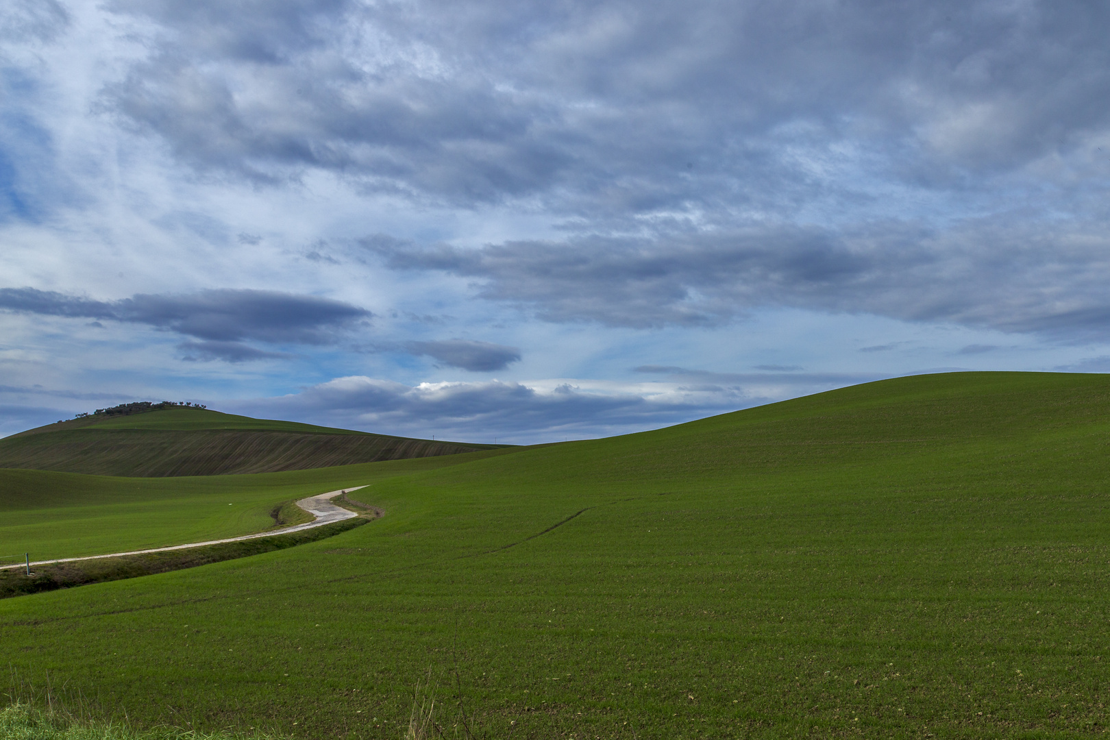 Terre senesi....