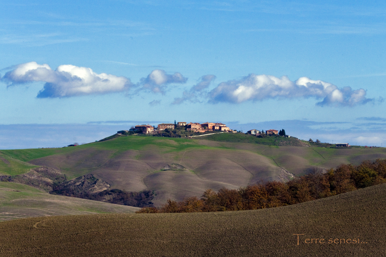 Terre senesi.... 