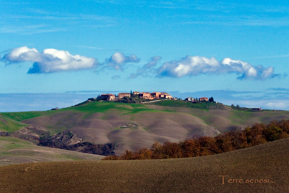 Terre senesi.... 