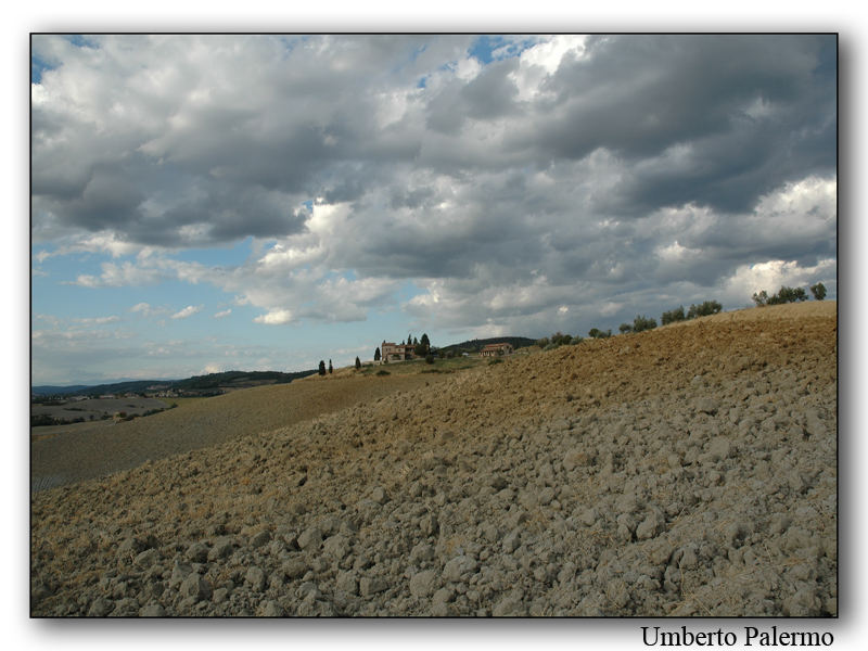 Terre Senesi