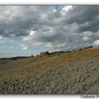 Terre Senesi