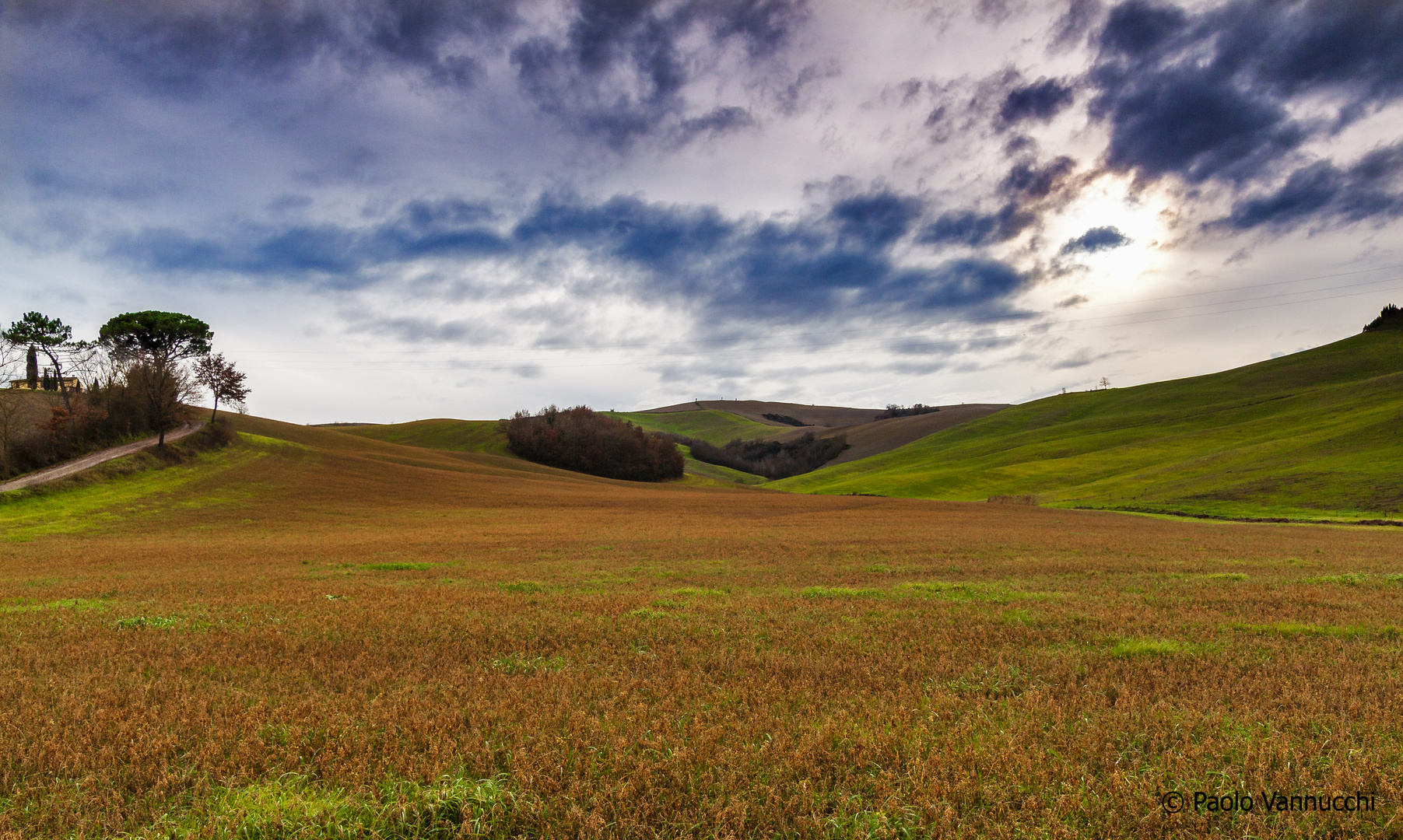 Terre senesi....breathtaking landscape