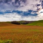 Terre senesi....breathtaking landscape