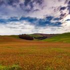 Terre senesi....breathtaking landscape