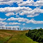 Terre senesi....catch clouds....