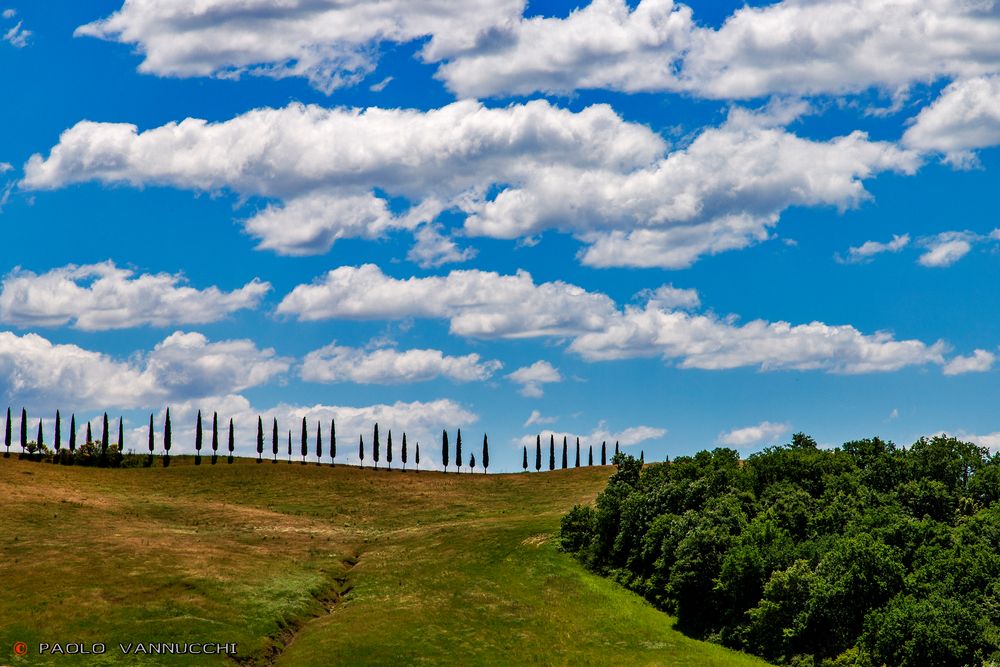 Terre senesi....catch clouds....