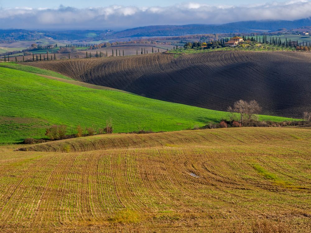 Terre senesi....colors....