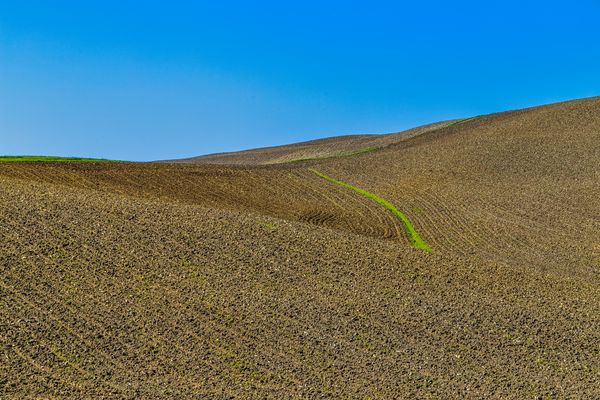 Terre senesi....green line....